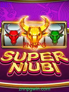 SuperNiubi